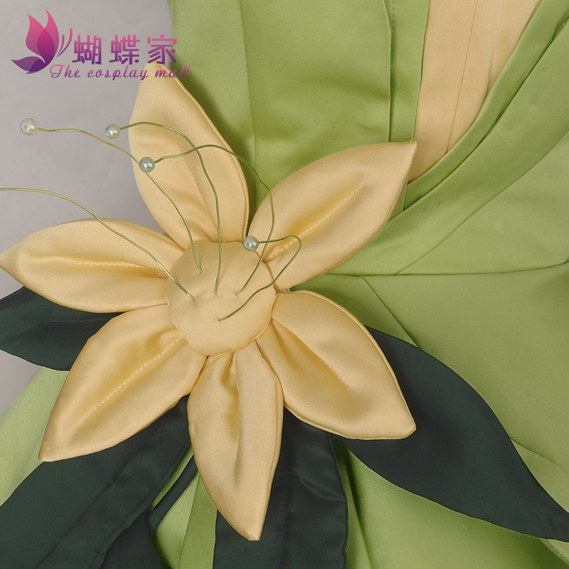 Prinzessin Tiana Kleid Cosplay – Women'S Formal Accessories Bewertung und Preis